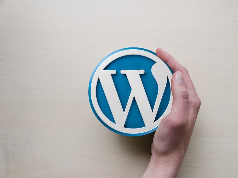 Les bonnes raisons de choisir WordPress pour la création de son blog 